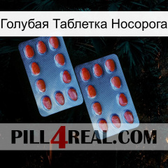 Голубая Таблетка Носорога 05